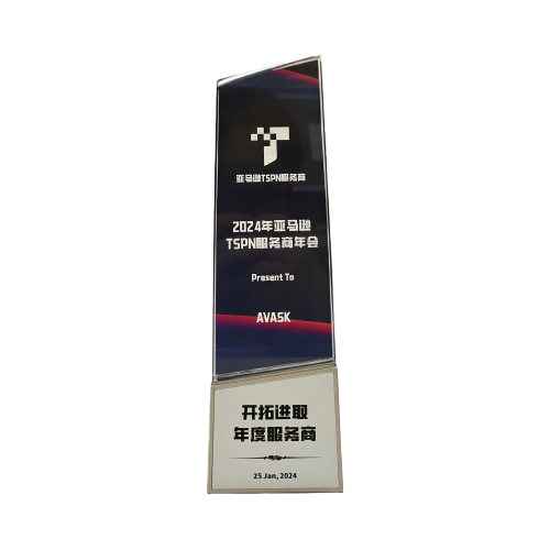 2024年亚马逊TSPN开拓进取年度服务商